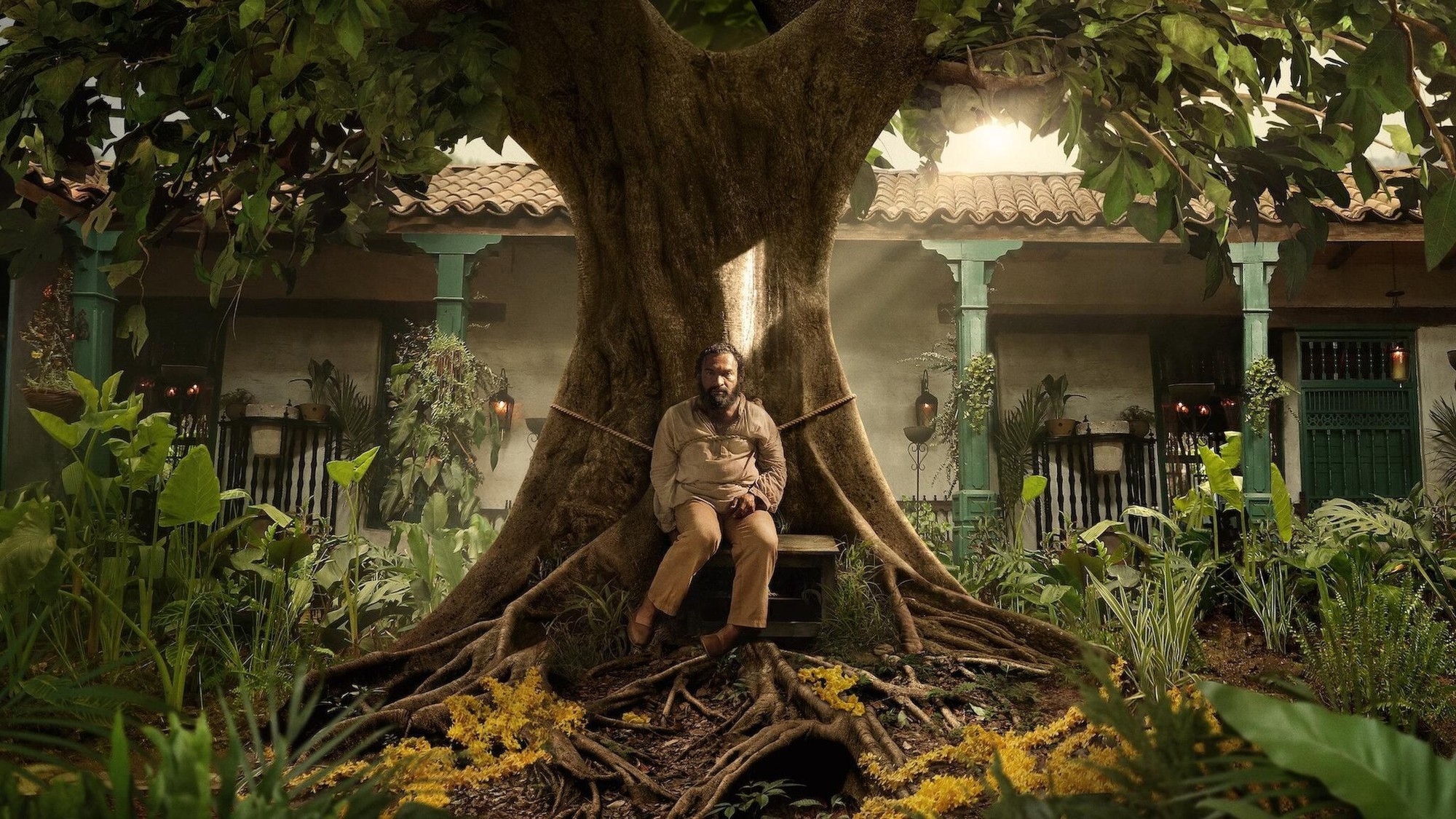 Un hombre sentado al pie del gran árbol del patio de la casa Buendía, rodeado de vegetación, en la serie Cien años de soledad