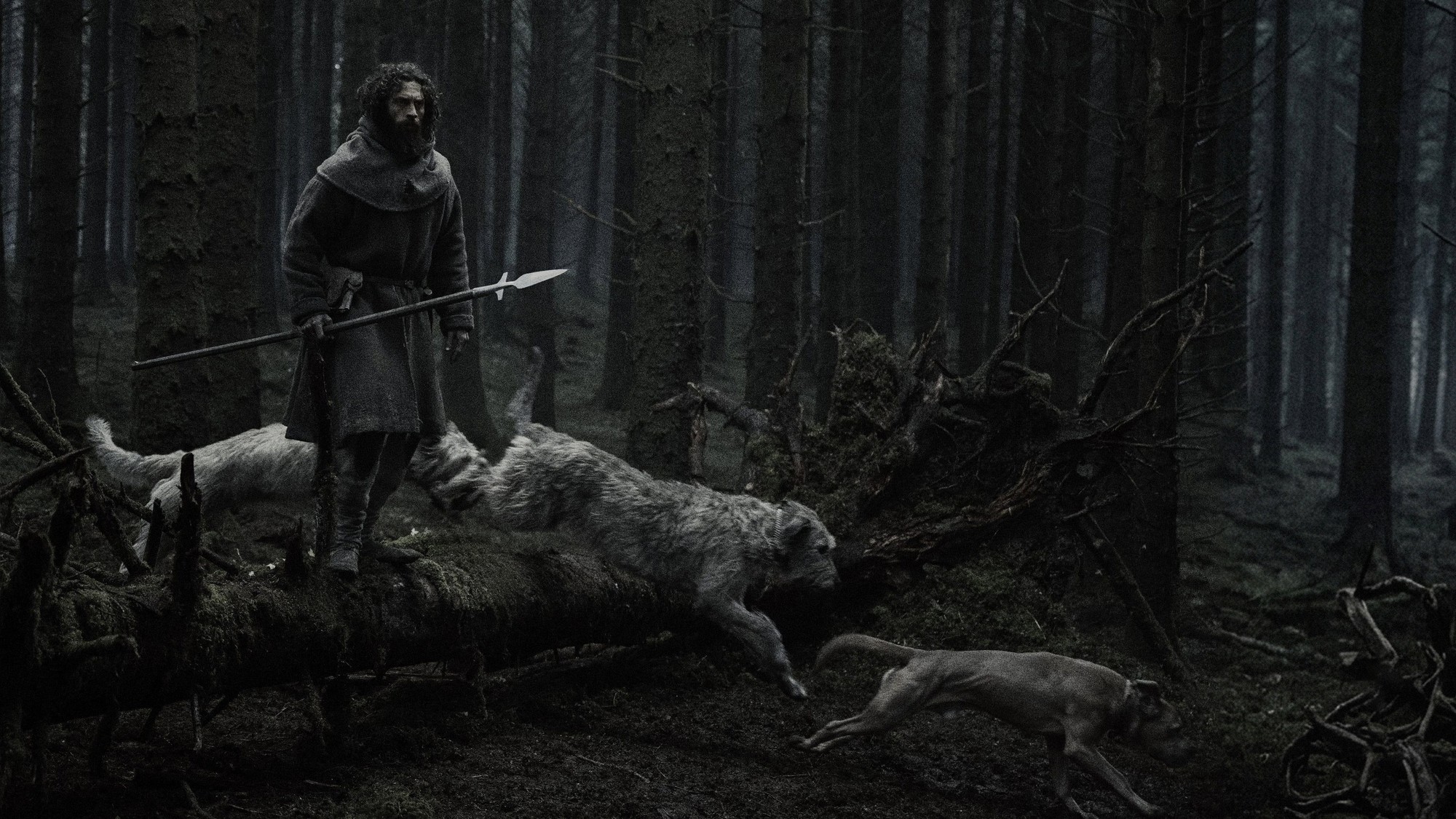 Cazador medieval con lanza de pie sobre un tronco caído en un bosque de coníferas, rodeado de perros blancos, en una escena de Werwulf